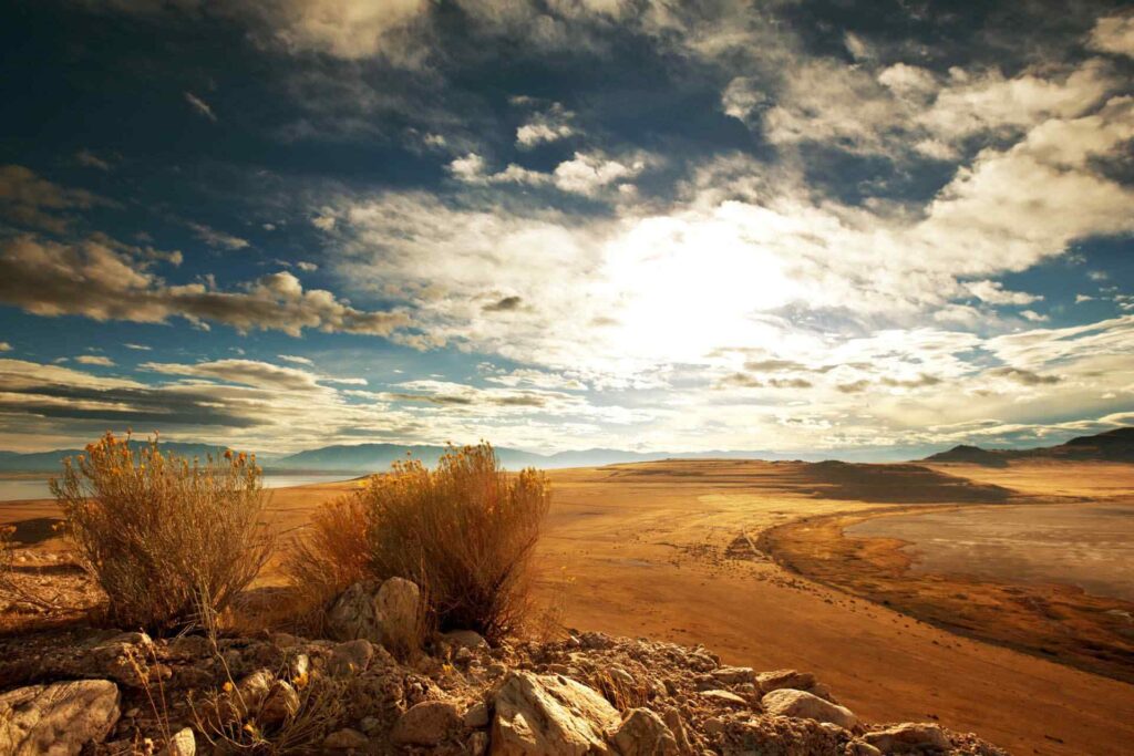 Beautiful Nature Photography examples